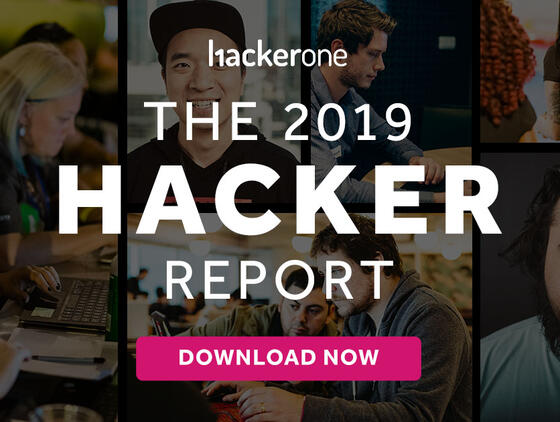 The 2019 Hacker Report 